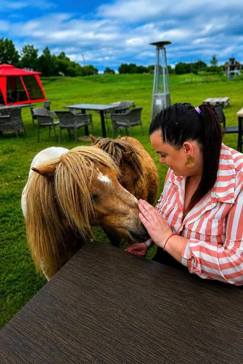 Mini zoologijos sodas — ponis ir gyvūnėliai
